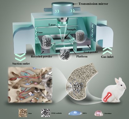 清華、北大、北醫三院聯合：高溫氧化處理3D打印鎂合金骨植入物結構優化及體內外生物降解行為